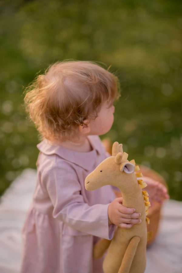 Miela dovana mergaitei žirafa